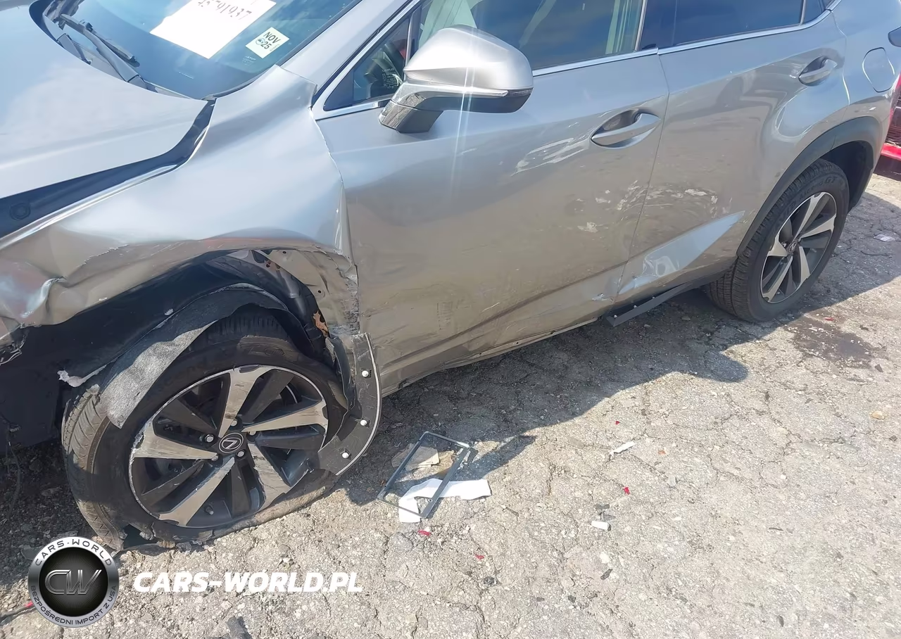 2021 Lexus Nx 300 VIN:JTJGARBZ7M2189488 - 19