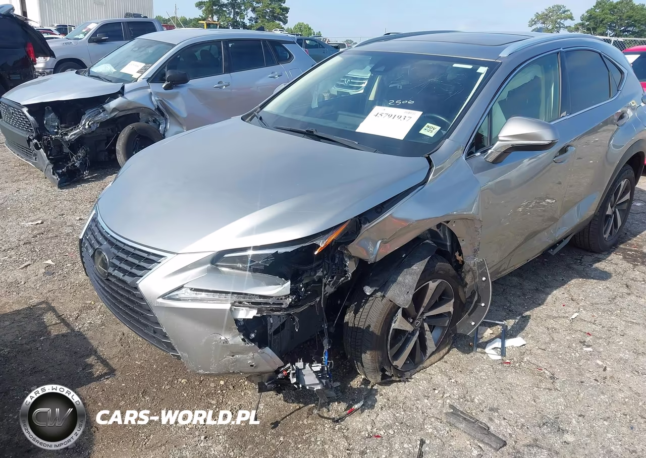 2021 Lexus Nx 300 VIN:JTJGARBZ7M2189488 - 2