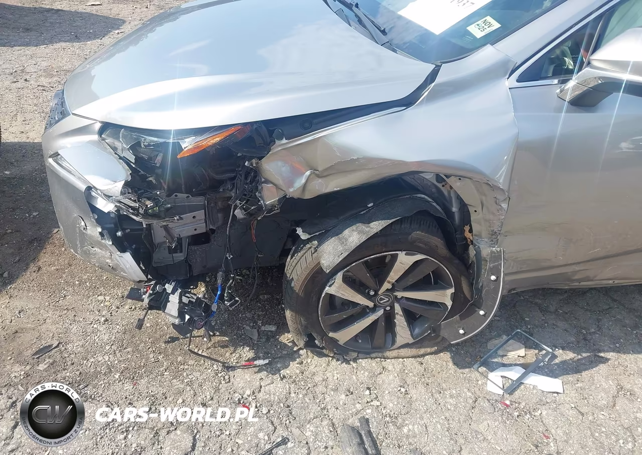 2021 Lexus Nx 300 VIN:JTJGARBZ7M2189488 - 20