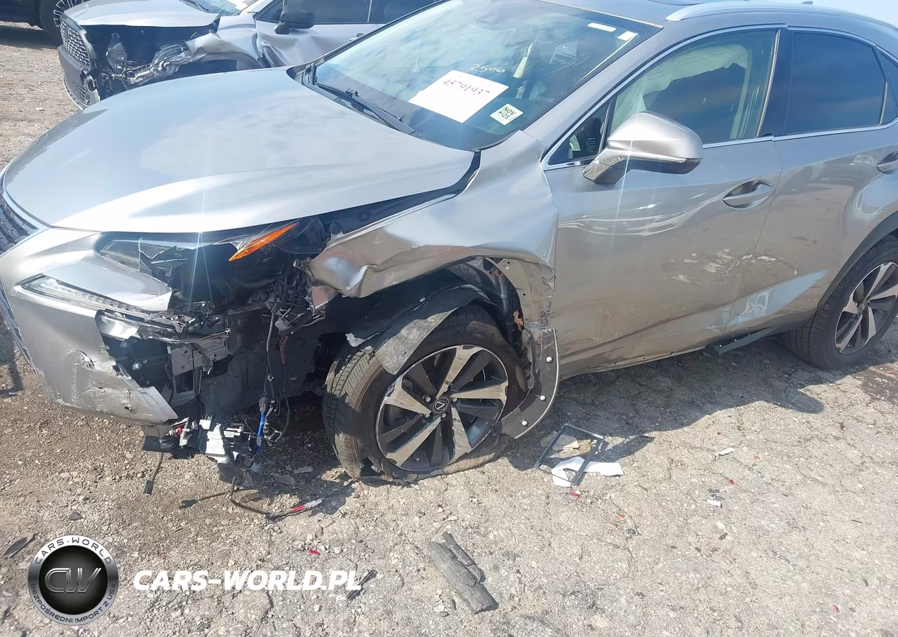 2021 Lexus Nx 300 VIN:JTJGARBZ7M2189488 - 21