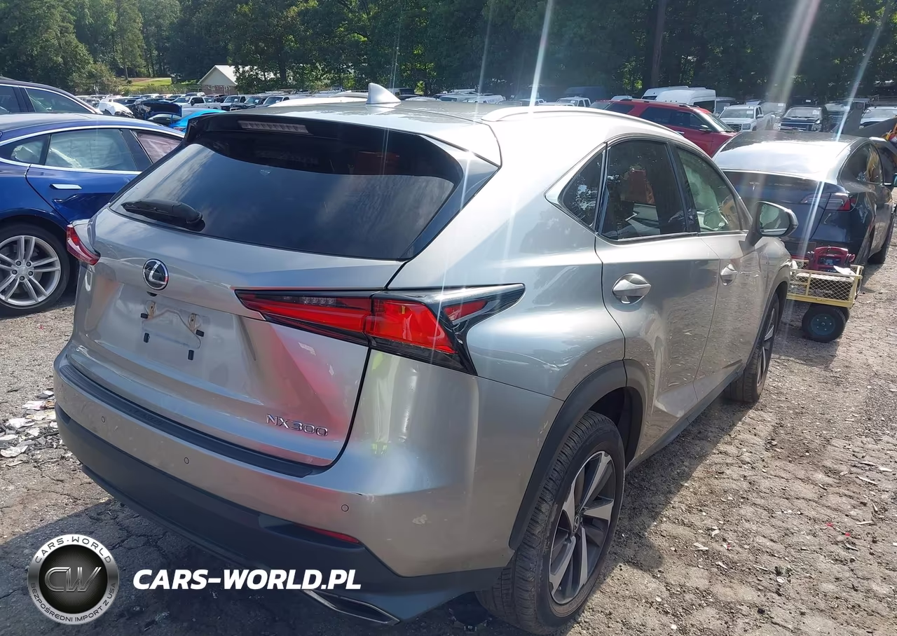 2021 Lexus Nx 300 VIN:JTJGARBZ7M2189488 - 4