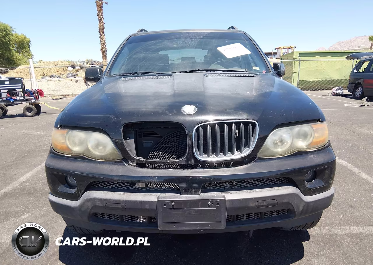 2006 BMW X5 3.0I VIN:5UXFA13586LY40988 - 12