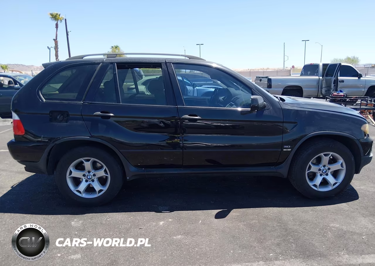 2006 BMW X5 3.0I VIN:5UXFA13586LY40988 - 13