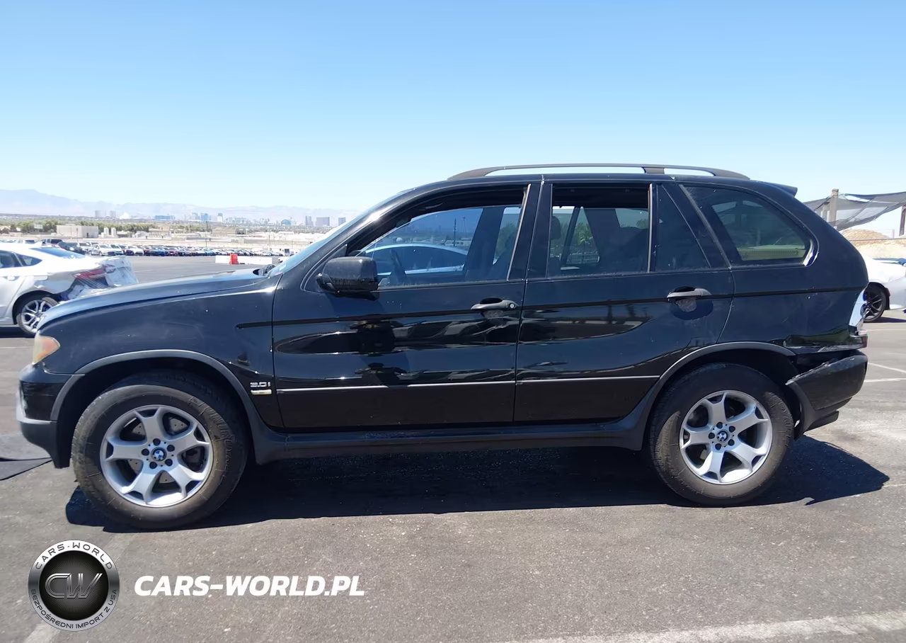 2006 BMW X5 3.0I VIN:5UXFA13586LY40988 - 14