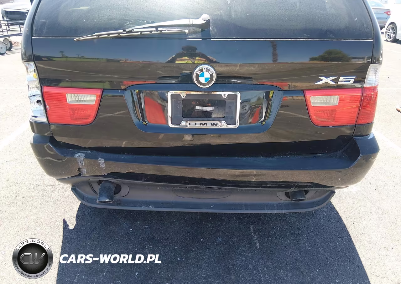 2006 BMW X5 3.0I VIN:5UXFA13586LY40988 - 6