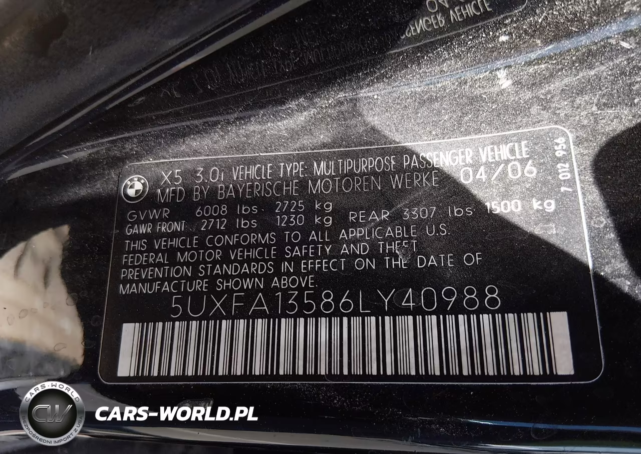 2006 BMW X5 3.0I VIN:5UXFA13586LY40988 - 9