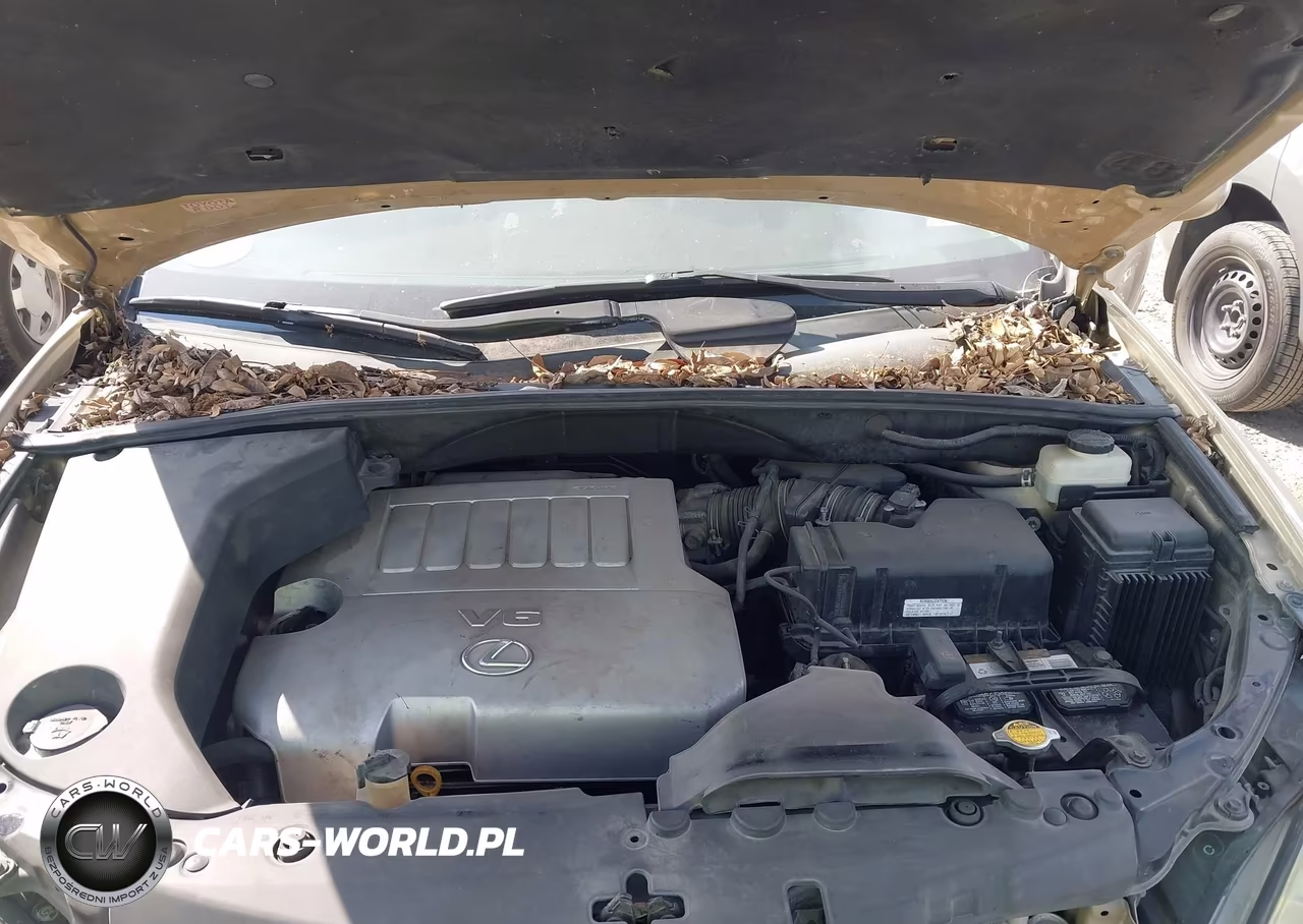 2009 Lexus Rx 350 VIN:2T2GK31U89C075278 - 10