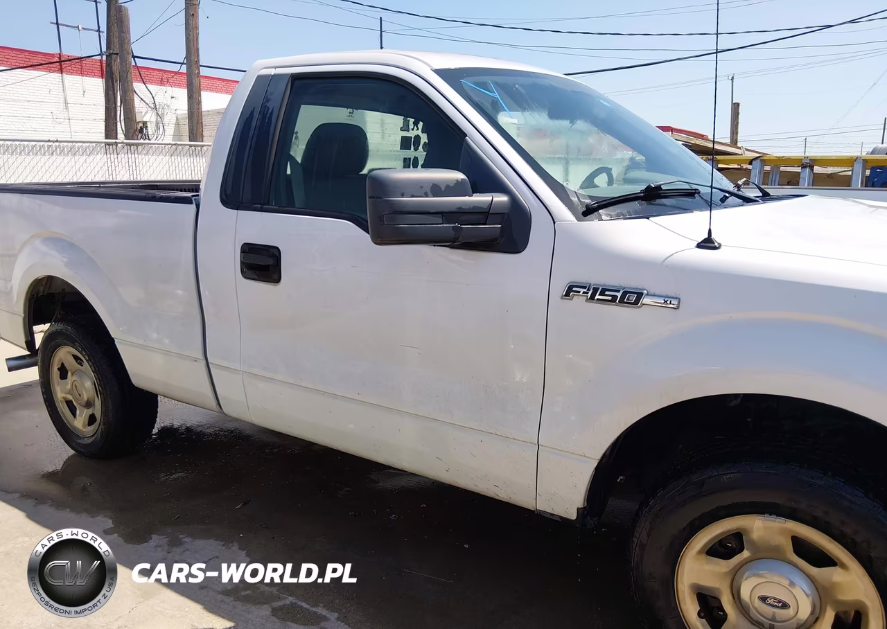 2010 Ford F-150 Stx-Xl-Xlt VIN:1FTMF1CW8AKB98516 - 13