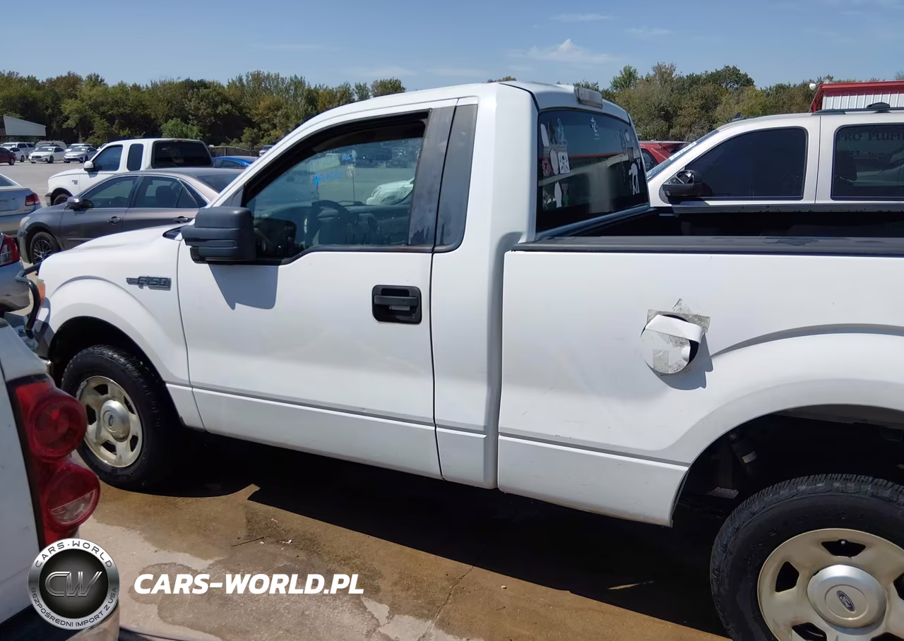 2010 Ford F-150 Stx-Xl-Xlt VIN:1FTMF1CW8AKB98516 - 14