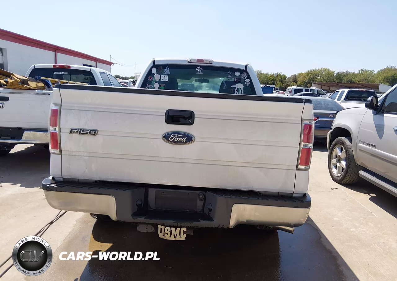 2010 Ford F-150 Stx-Xl-Xlt VIN:1FTMF1CW8AKB98516 - 16