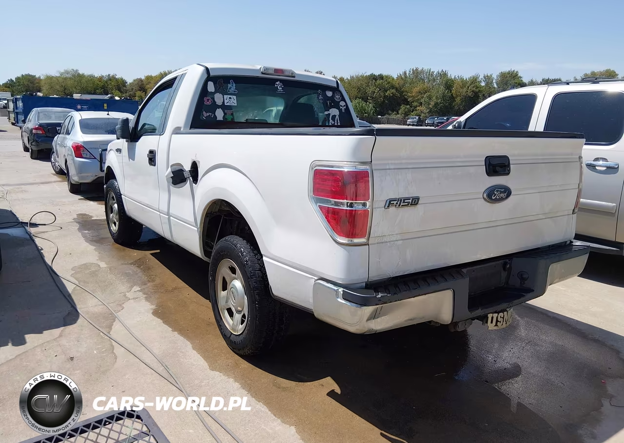 2010 Ford F-150 Stx-Xl-Xlt VIN:1FTMF1CW8AKB98516 - 3