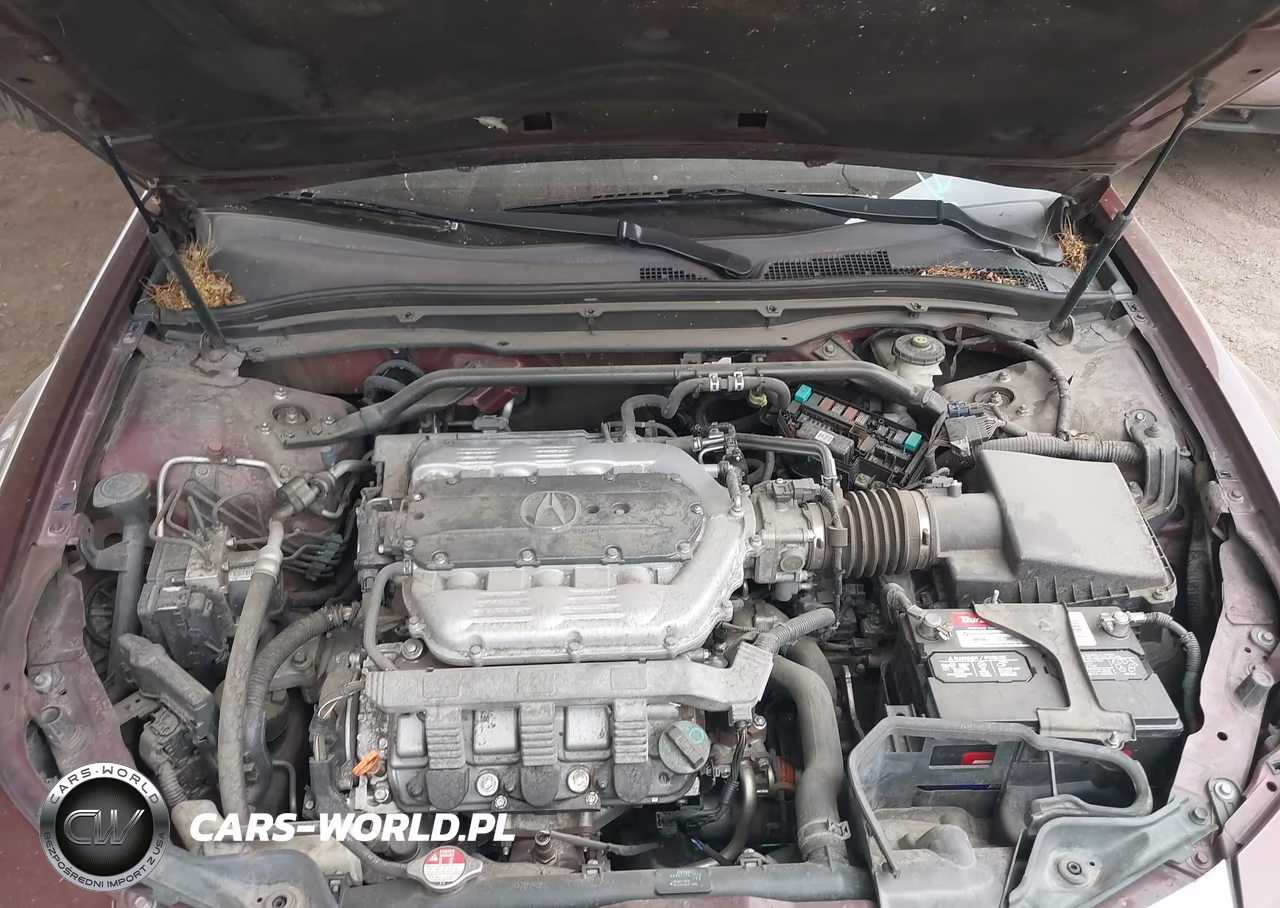 2009 Acura Tl 3.5 VIN:19UUA86509A007085 - 10