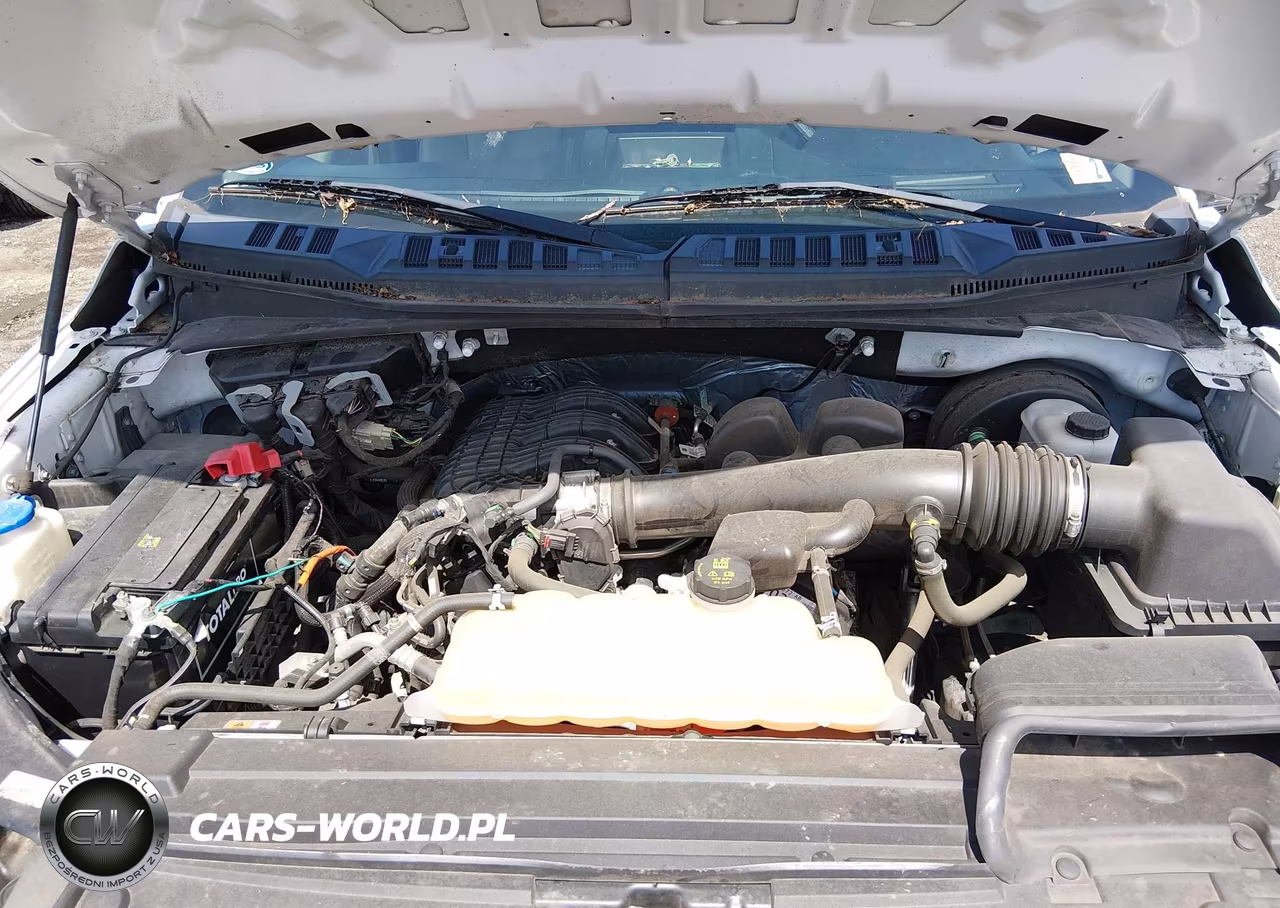 2019 Ford F-150 Xl VIN:1FTMF1CB6KKC41782 - 10