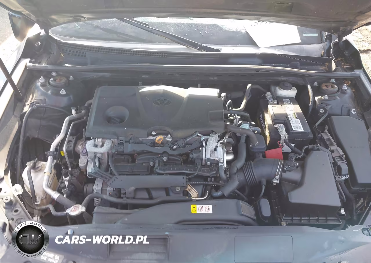 2020 Toyota Camry Le VIN:4T1C11AK9LU932254 - 10