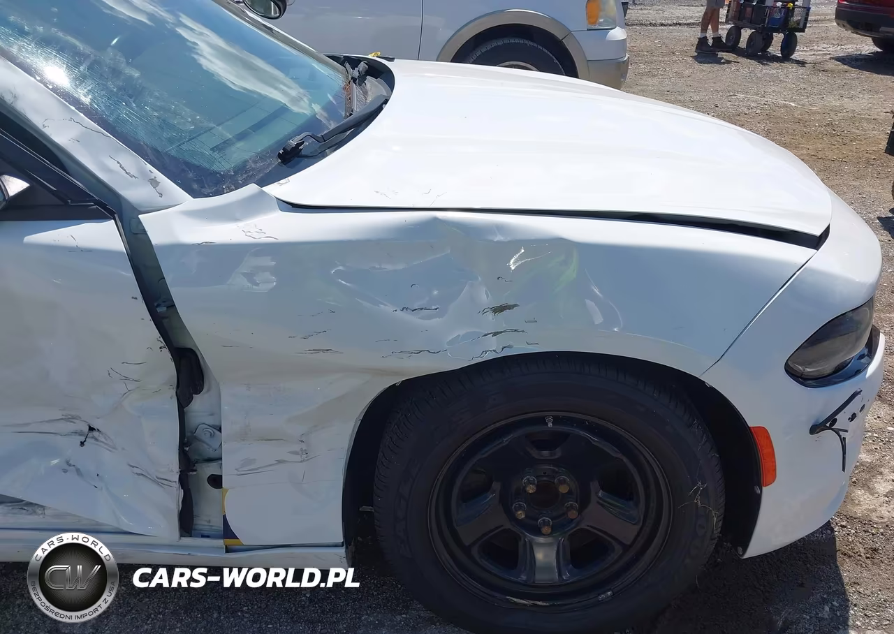 2019 Dodge Charger Police Rwd VIN:2C3CDXAG3KH547546 - 18