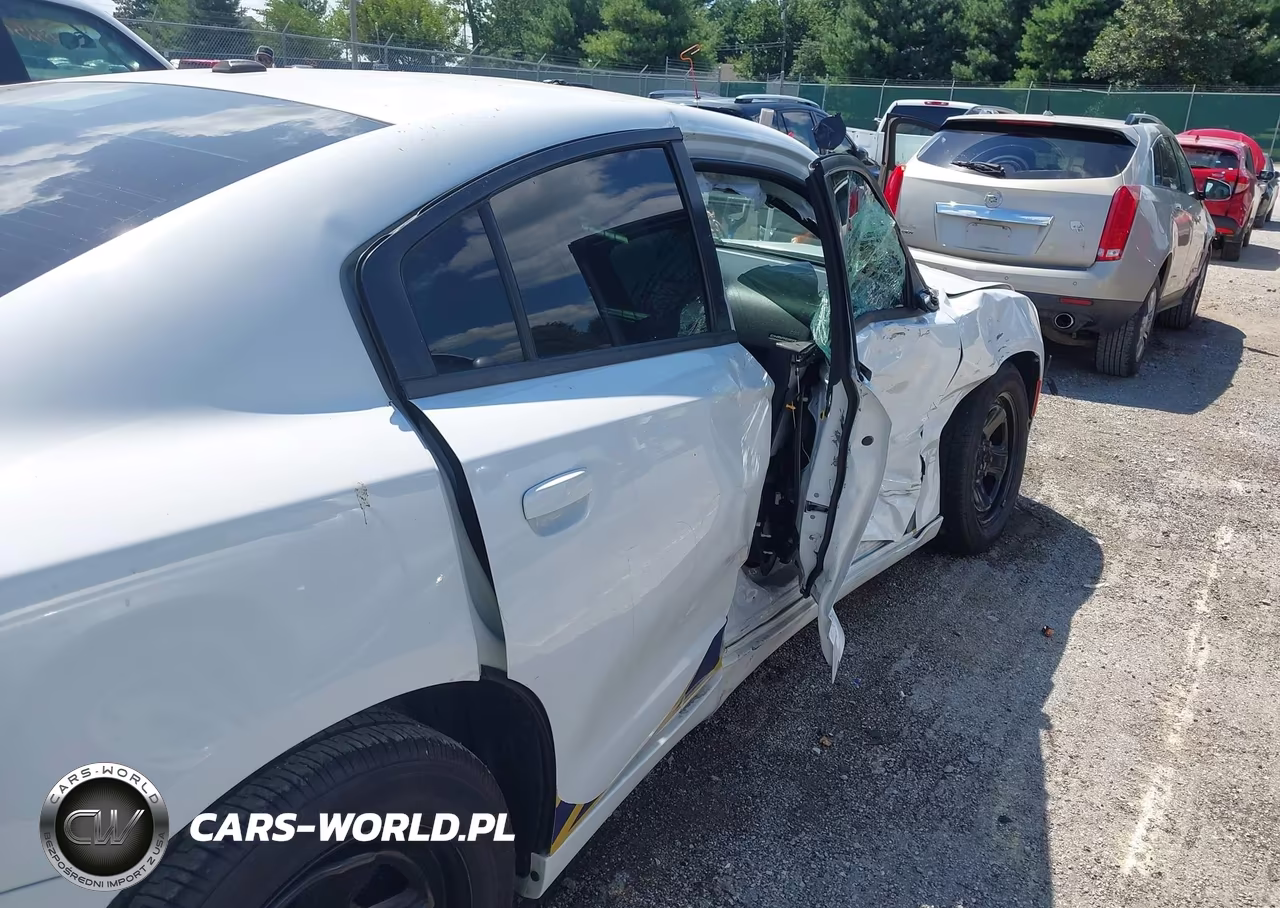 2019 Dodge Charger Police Rwd VIN:2C3CDXAG3KH547546 - 20