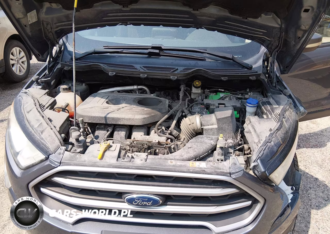 2018 Ford Ecosport Se VIN:MAJ6P1UL1JC189991 - 10