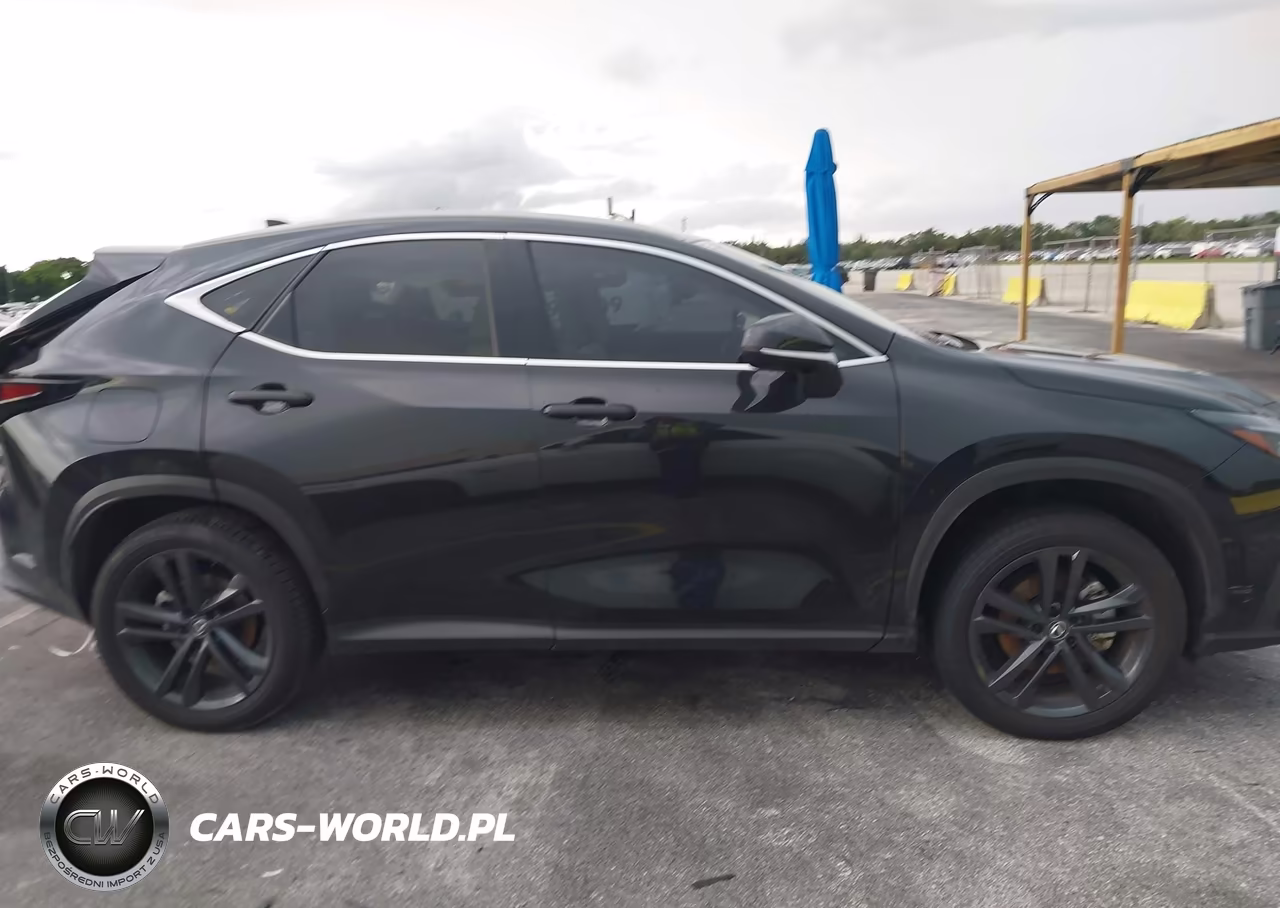 2025 Lexus Nx 450H+ Luxury VIN:JTJHKCFZ3S2067989 - 12