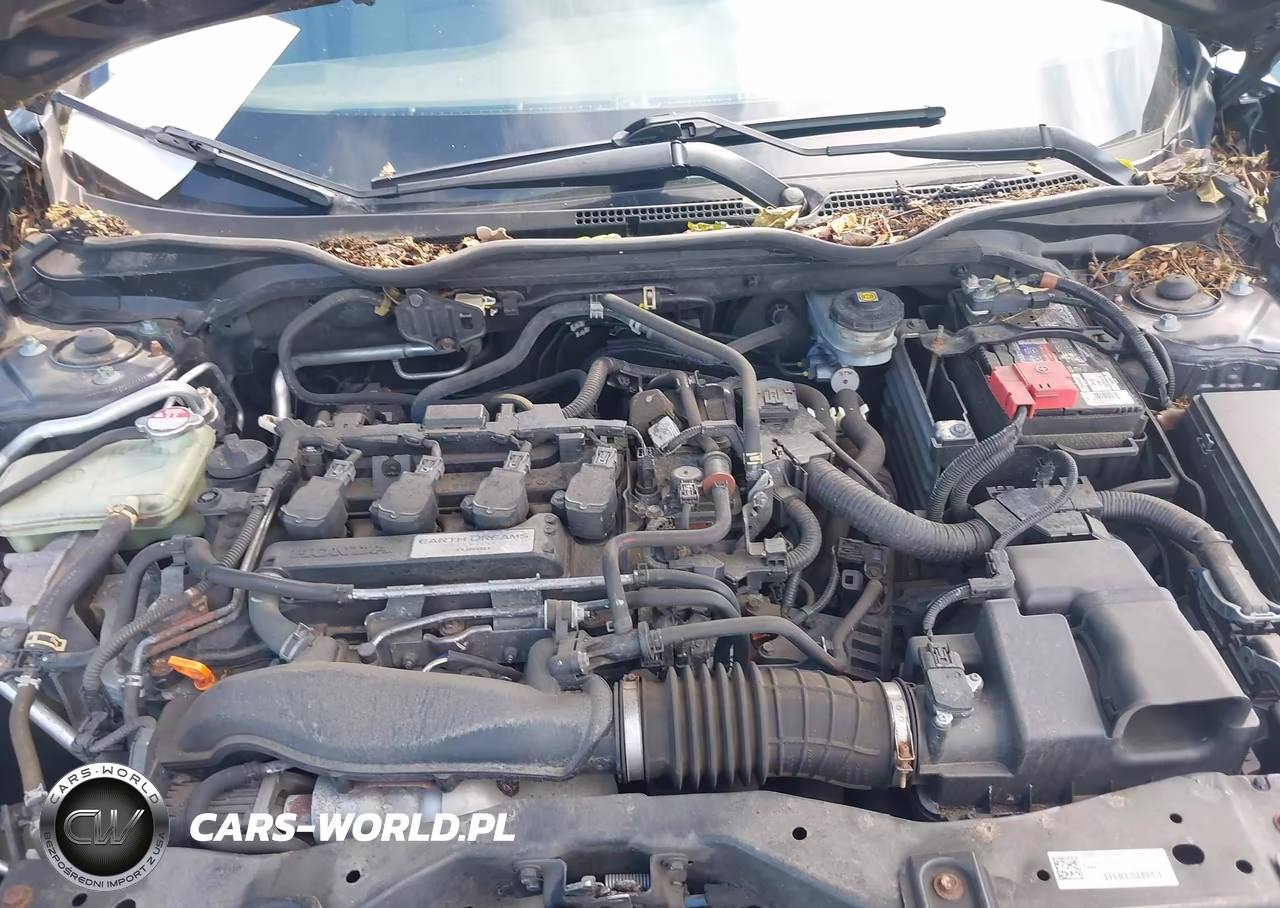 2019 Honda Civic Ex VIN:JHMFC1F35KX007978 - 10