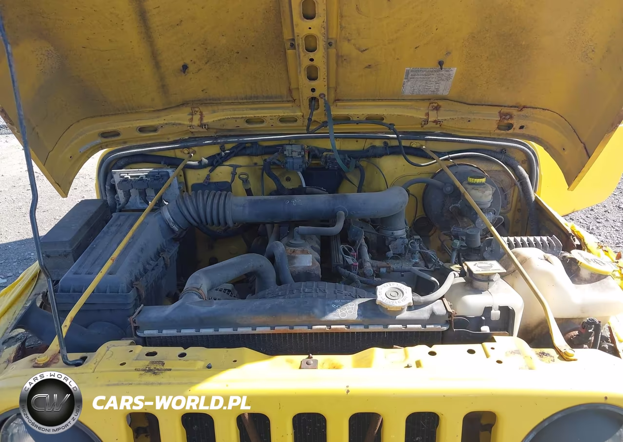 2004 Jeep Wrangler X VIN:1J4FA39S04P796849 - 10