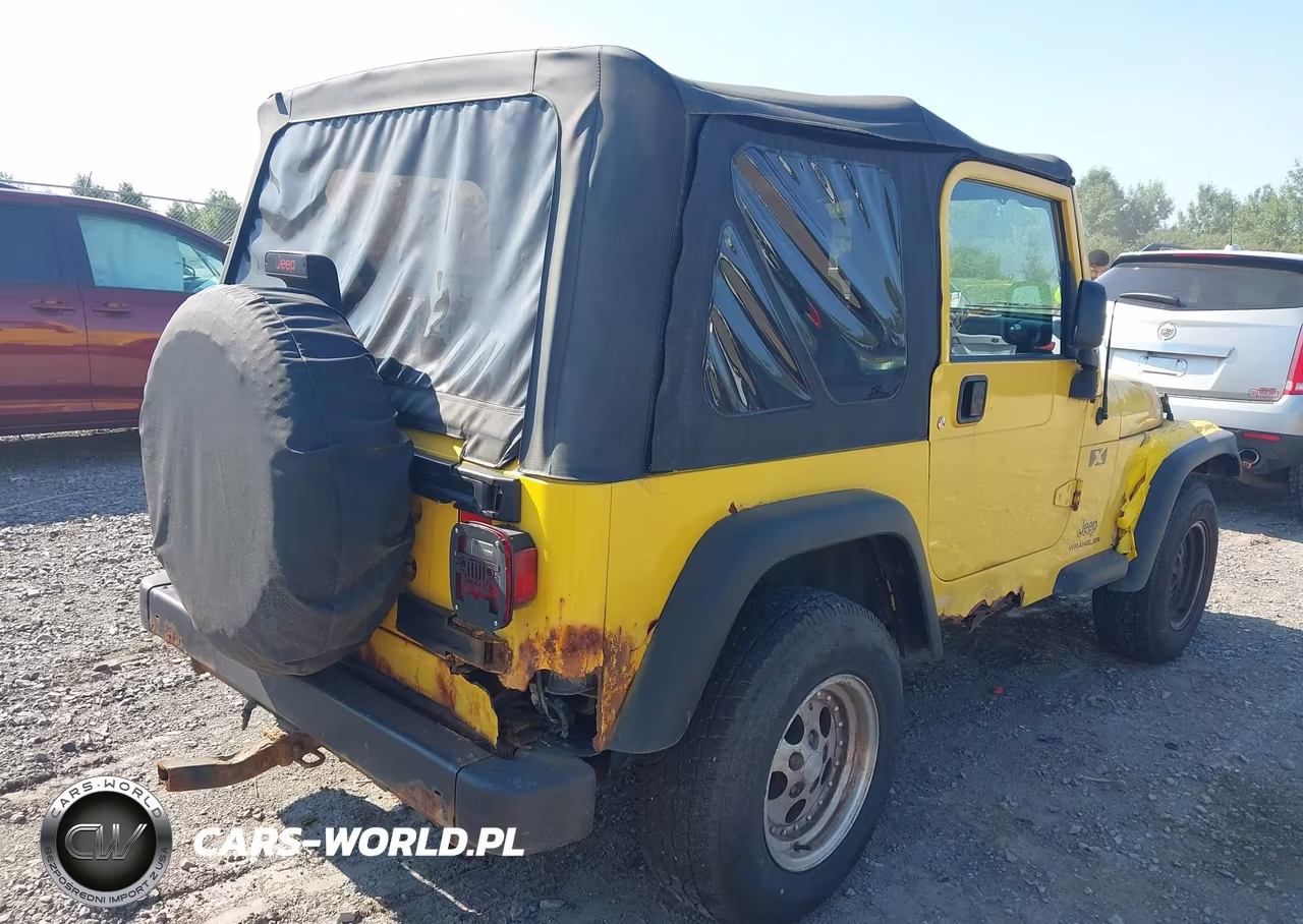 2004 Jeep Wrangler X VIN:1J4FA39S04P796849 - 4