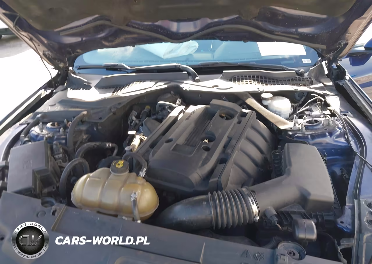 2019 Ford Mustang Ecoboost VIN:1FATP8UH2K5184831 - 10
