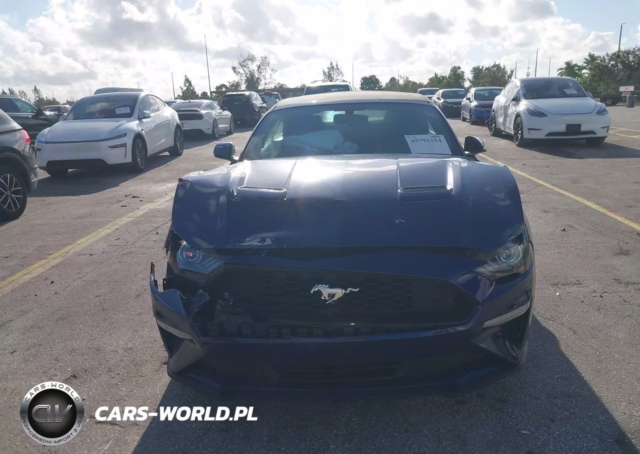 2019 Ford Mustang Ecoboost VIN:1FATP8UH2K5184831 - 12