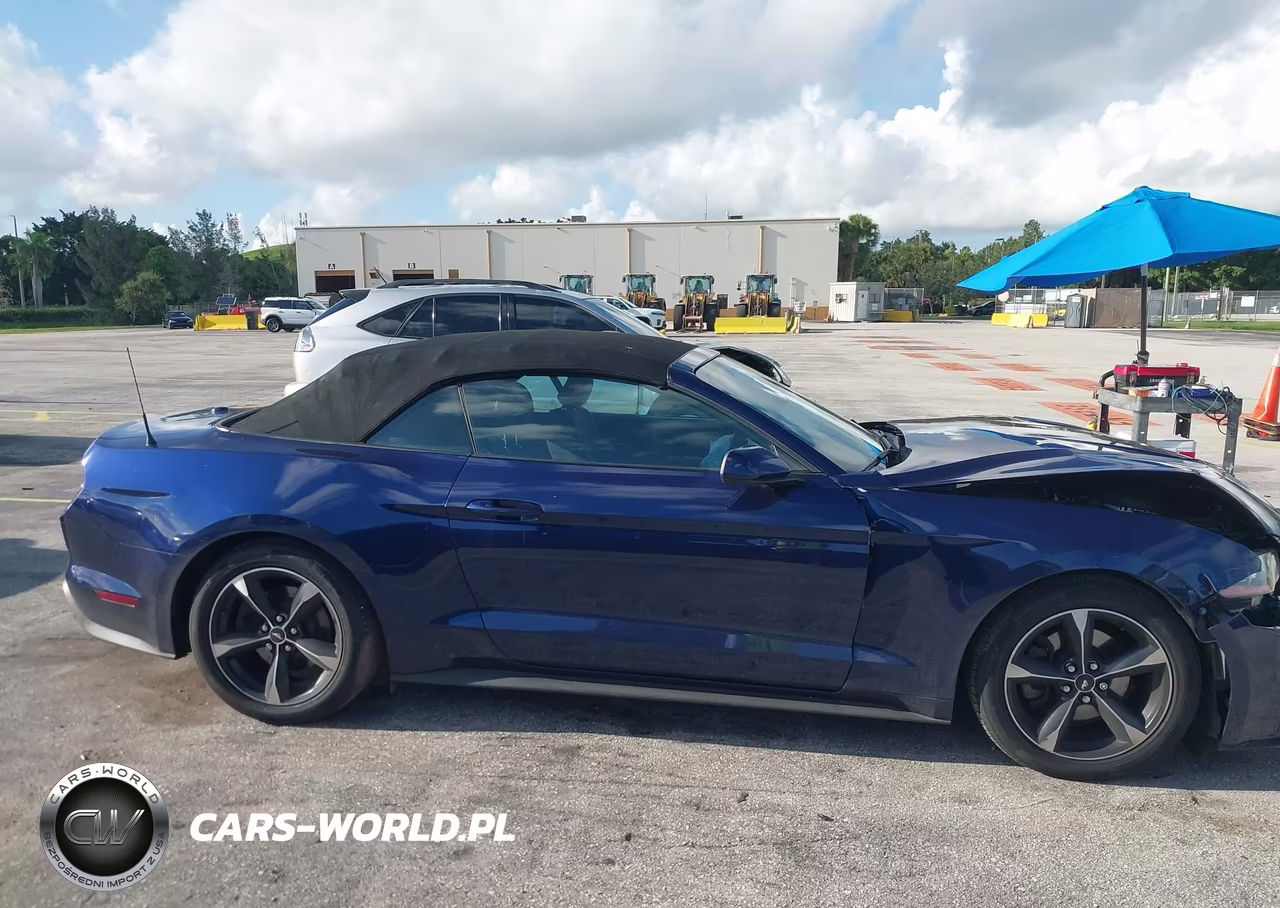 2019 Ford Mustang Ecoboost VIN:1FATP8UH2K5184831 - 13