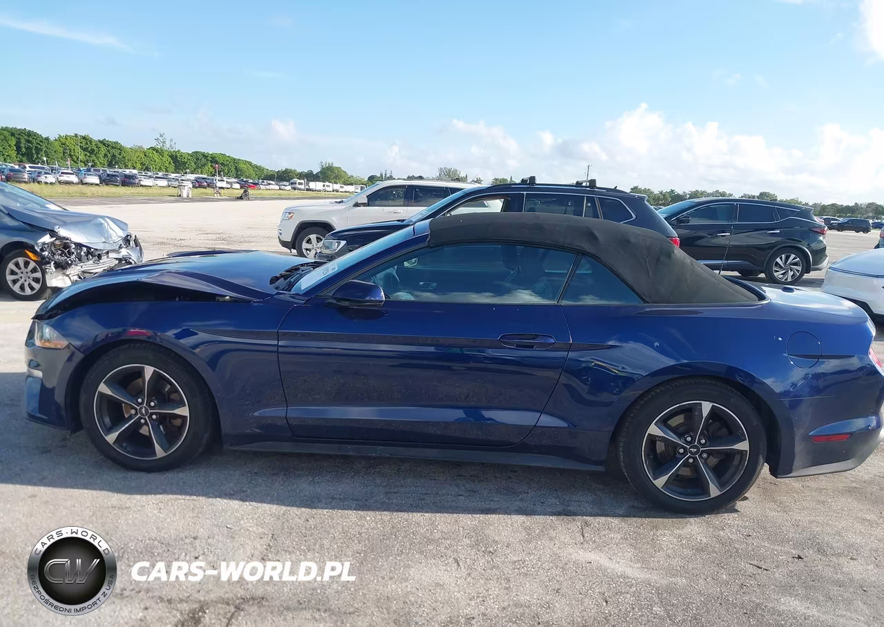 2019 Ford Mustang Ecoboost VIN:1FATP8UH2K5184831 - 14