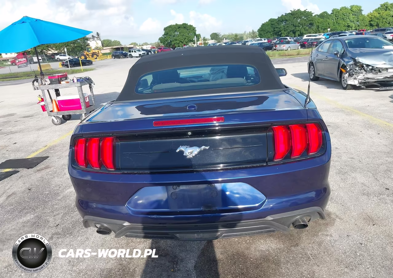 2019 Ford Mustang Ecoboost VIN:1FATP8UH2K5184831 - 16
