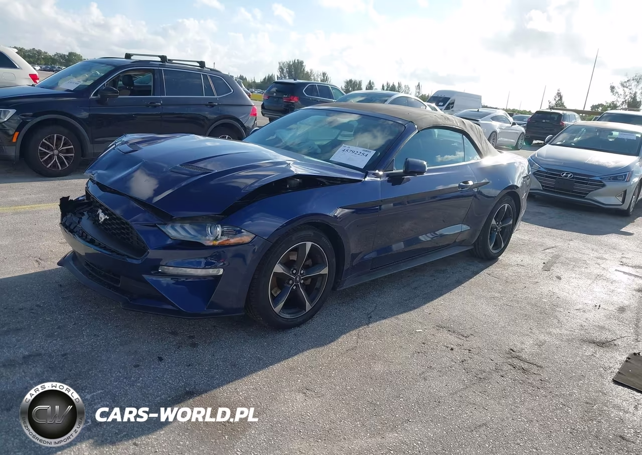 2019 Ford Mustang Ecoboost VIN:1FATP8UH2K5184831 - 2