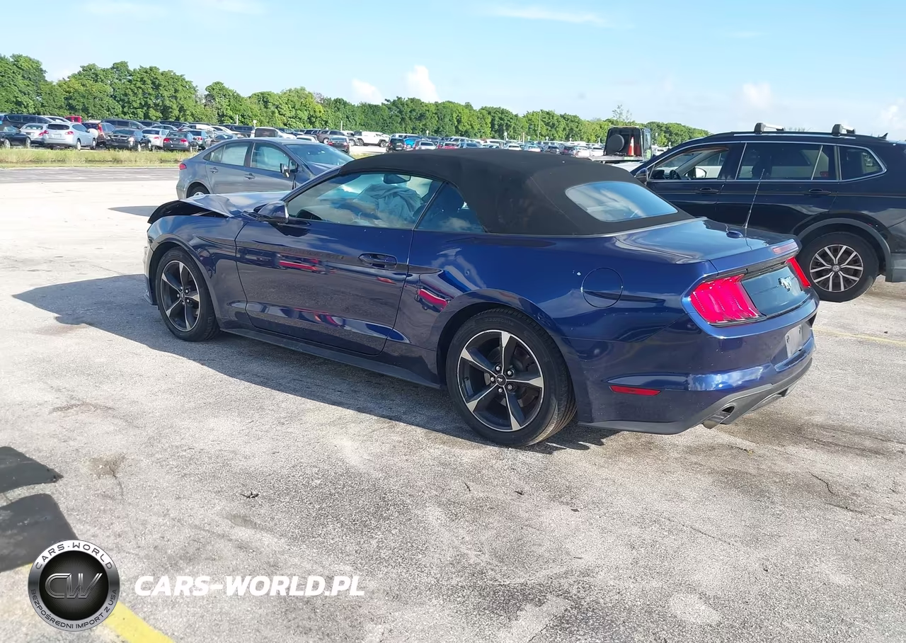 2019 Ford Mustang Ecoboost VIN:1FATP8UH2K5184831 - 3
