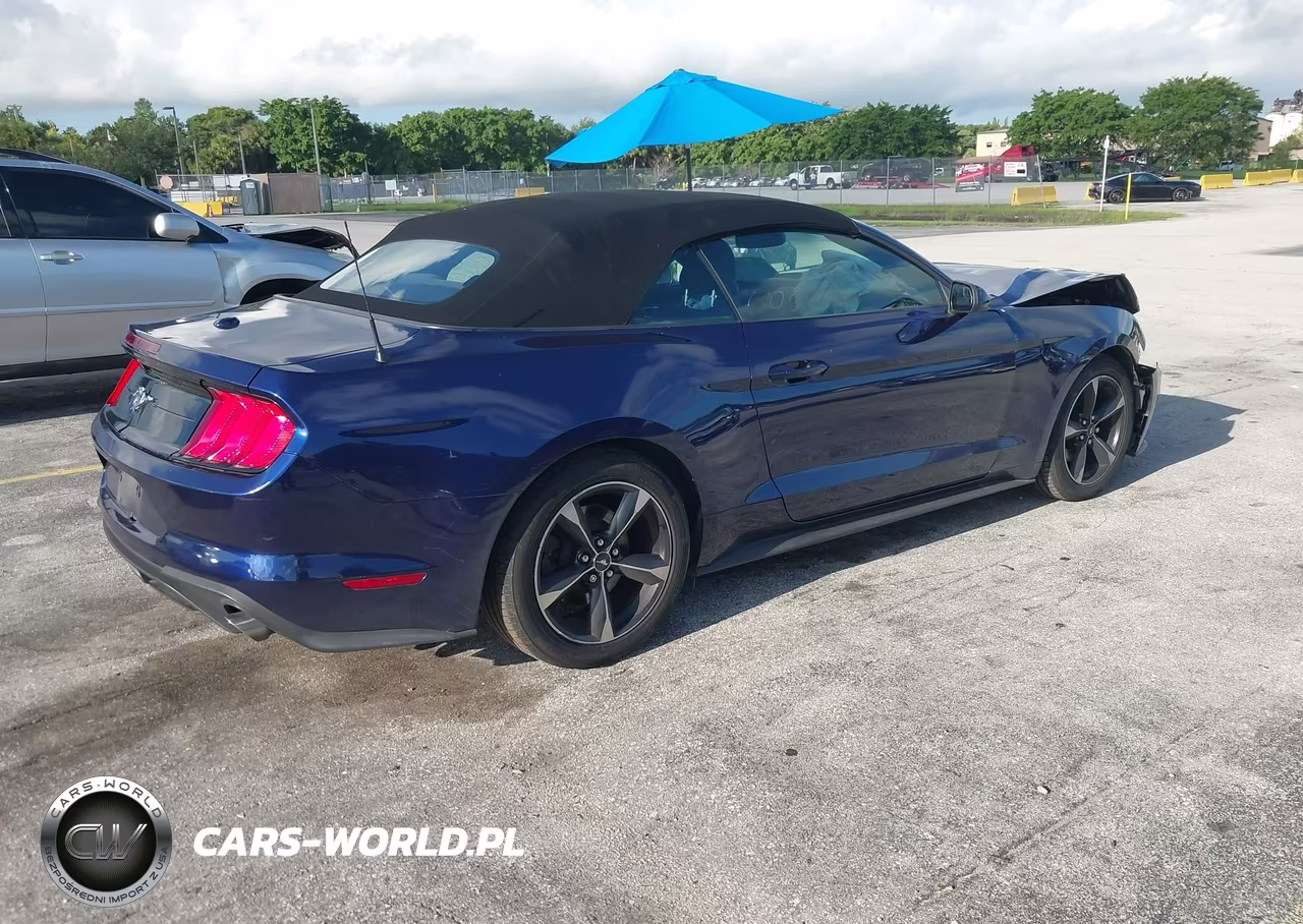 2019 Ford Mustang Ecoboost VIN:1FATP8UH2K5184831 - 4