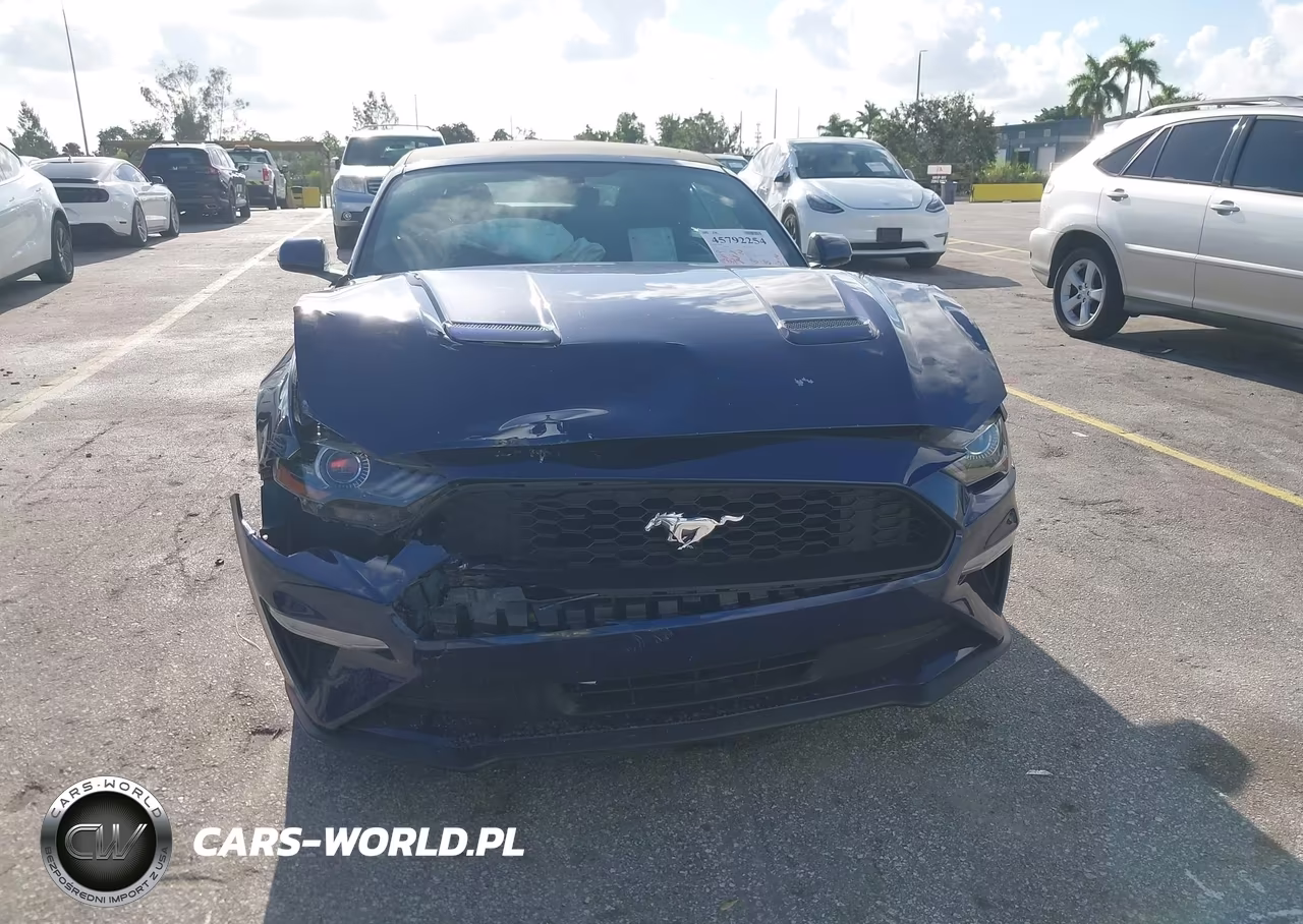 2019 Ford Mustang Ecoboost VIN:1FATP8UH2K5184831 - 6