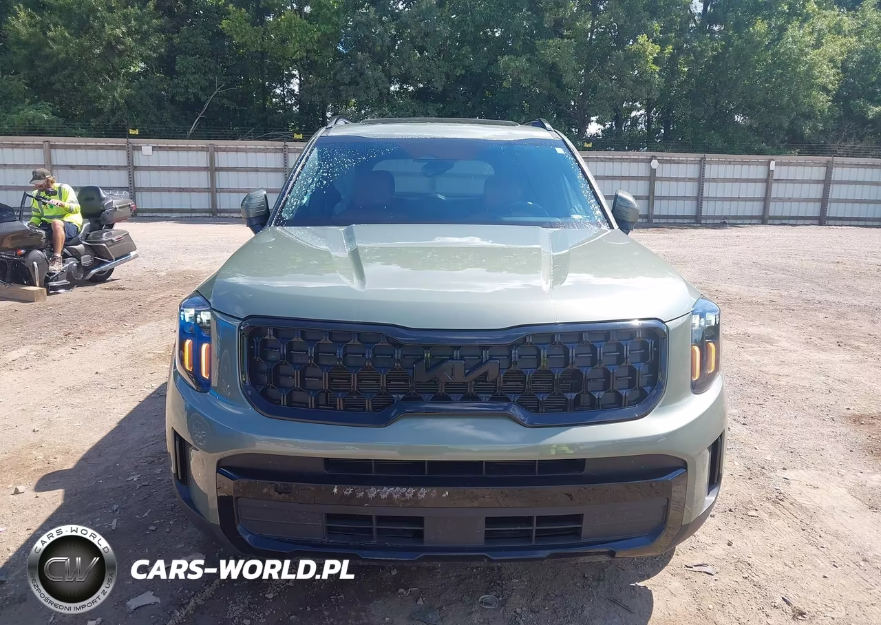 2025 Kia Telluride Ex X-Line VIN:5XYP3DGC3SG624238 - 12