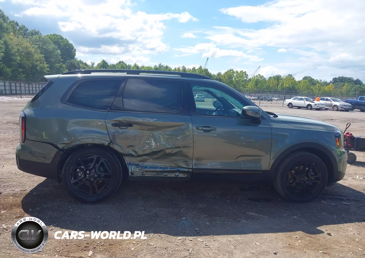 2025 Kia Telluride Ex X-Line VIN:5XYP3DGC3SG624238 - 13