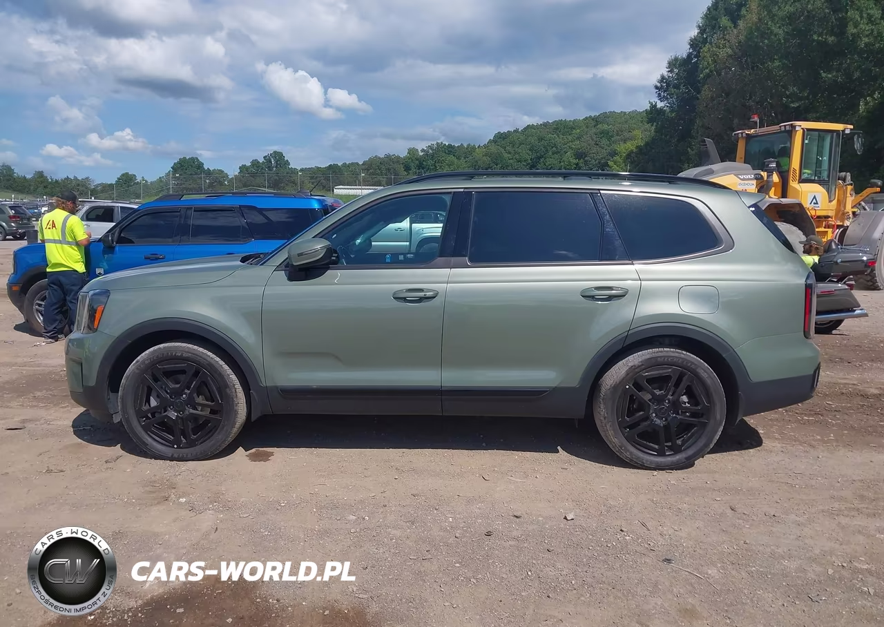 2025 Kia Telluride Ex X-Line VIN:5XYP3DGC3SG624238 - 14
