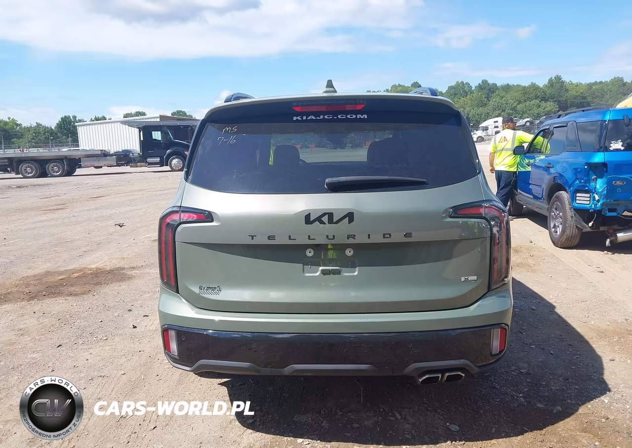 2025 Kia Telluride Ex X-Line VIN:5XYP3DGC3SG624238 - 16
