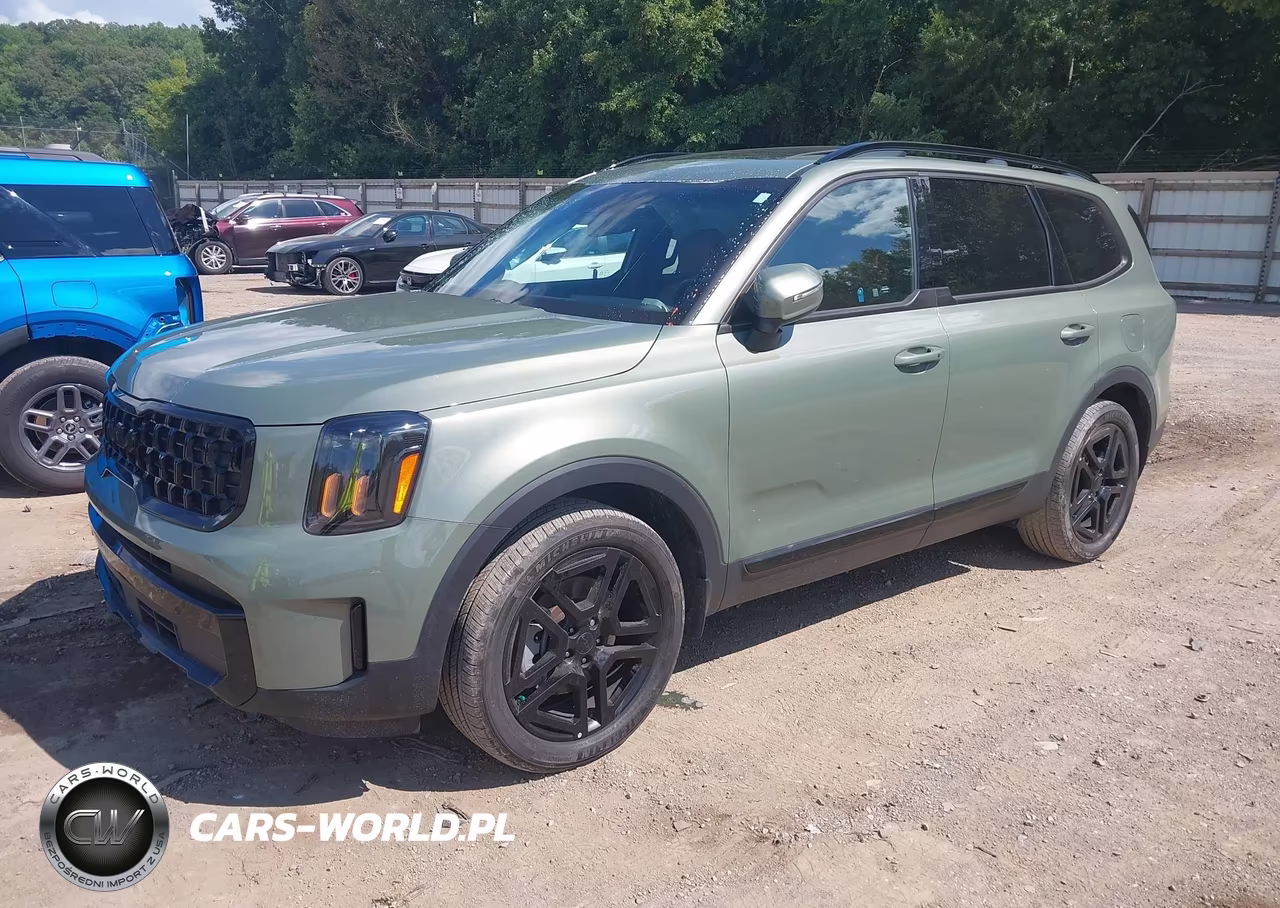 2025 Kia Telluride Ex X-Line VIN:5XYP3DGC3SG624238 - 2