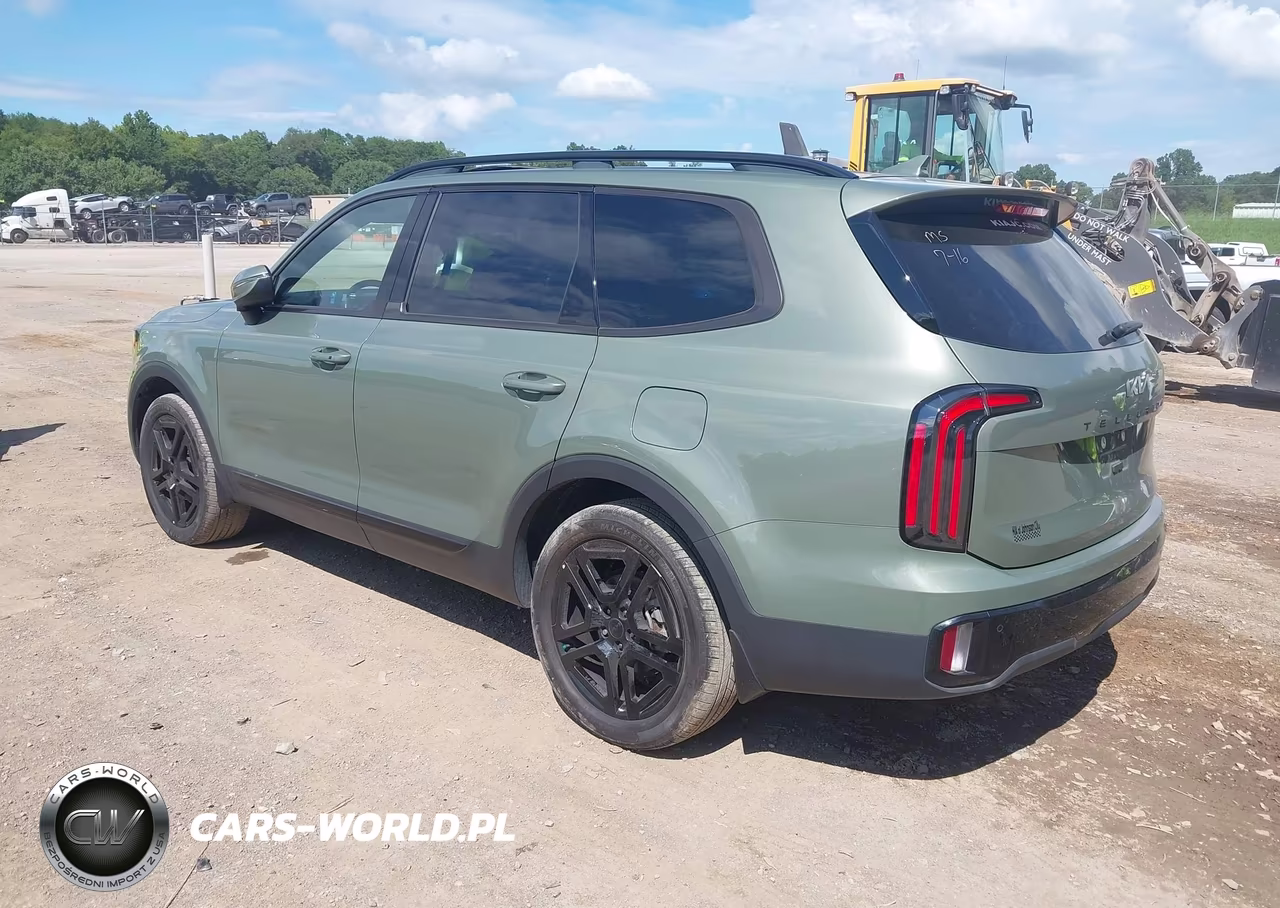 2025 Kia Telluride Ex X-Line VIN:5XYP3DGC3SG624238 - 3