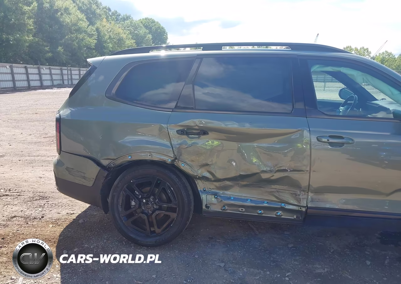 2025 Kia Telluride Ex X-Line VIN:5XYP3DGC3SG624238 - 6