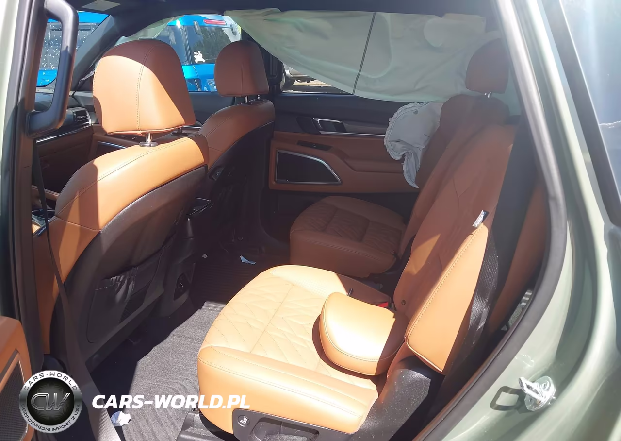 2025 Kia Telluride Ex X-Line VIN:5XYP3DGC3SG624238 - 8