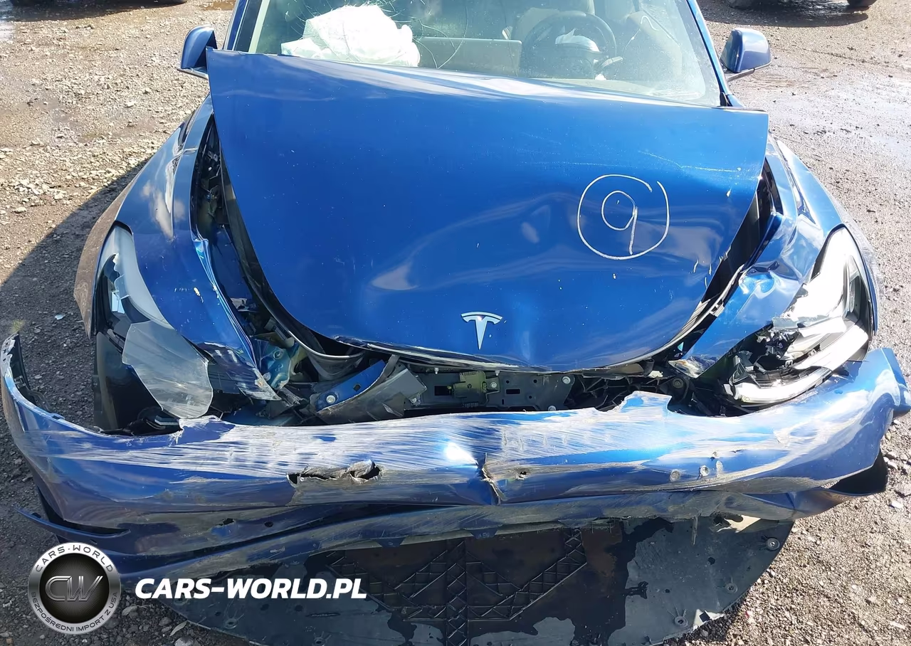 2019 Tesla Model 3 VIN:5YJ3E1EBXKF433019 - 10