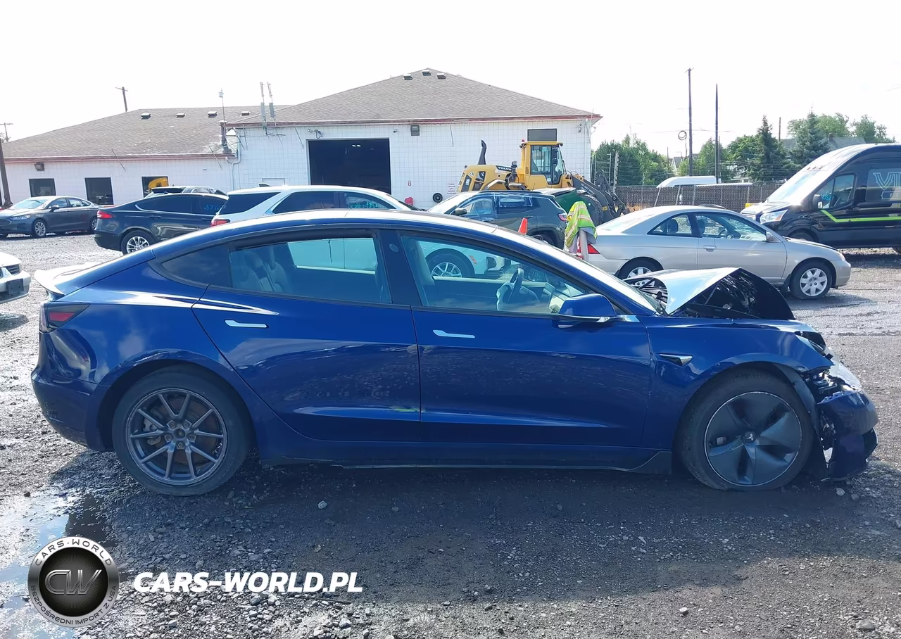 2019 Tesla Model 3 VIN:5YJ3E1EBXKF433019 - 12