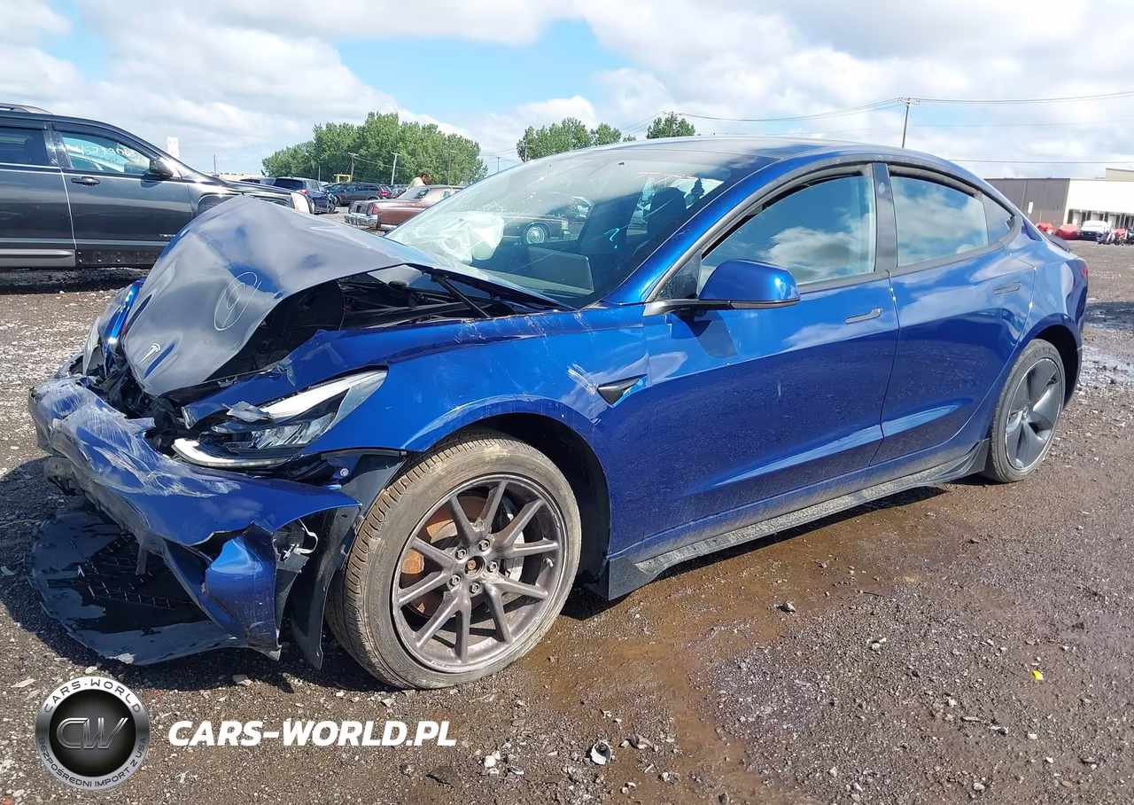2019 Tesla Model 3 VIN:5YJ3E1EBXKF433019 - 2
