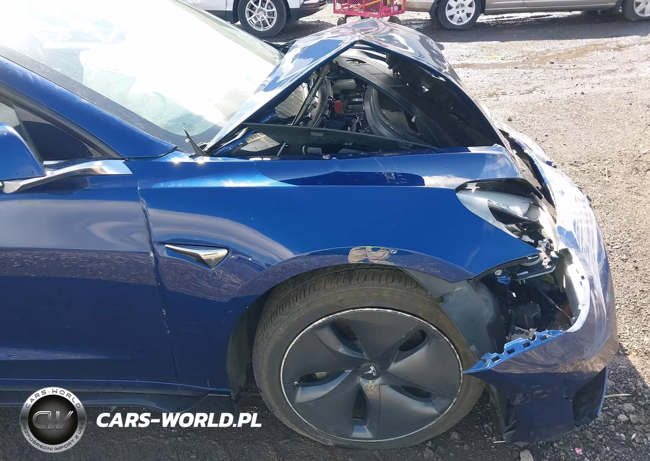 2019 Tesla Model 3 VIN:5YJ3E1EBXKF433019 - 20