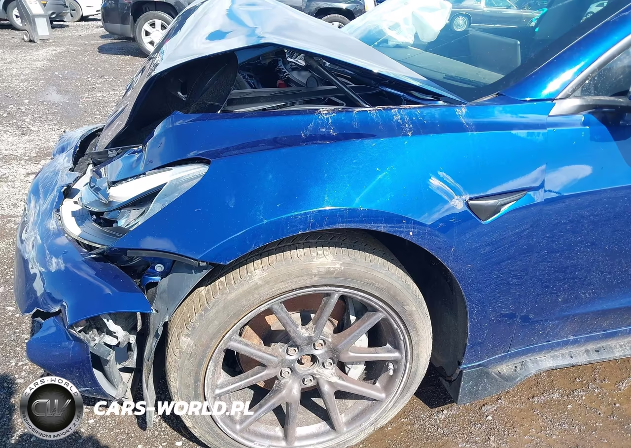 2019 Tesla Model 3 VIN:5YJ3E1EBXKF433019 - 22