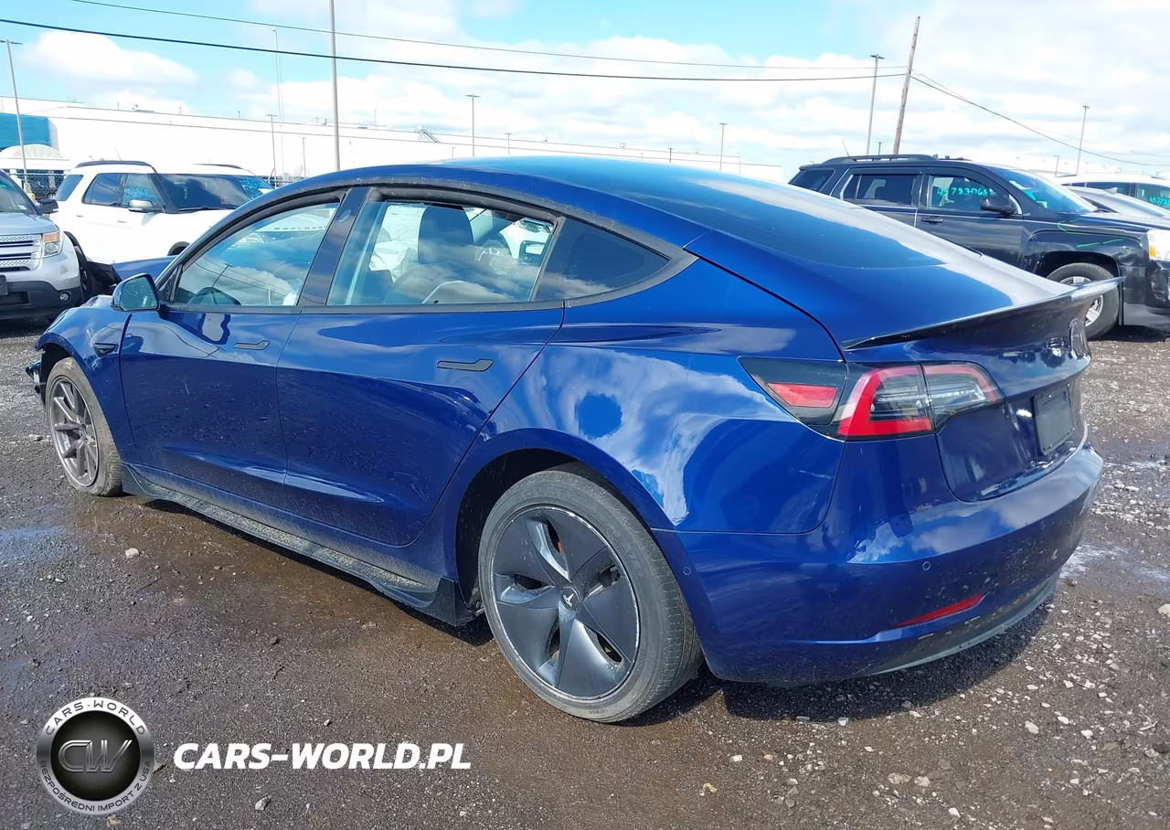2019 Tesla Model 3 VIN:5YJ3E1EBXKF433019 - 3