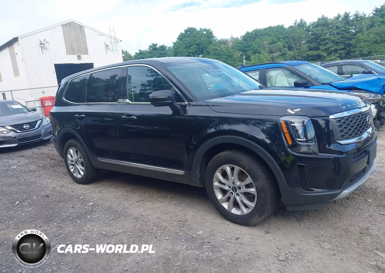 2020 Kia Telluride Lx VIN:5XYP2DHC0LG043220 - 13
