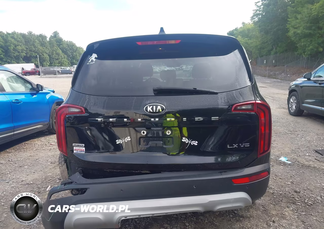 2020 Kia Telluride Lx VIN:5XYP2DHC0LG043220 - 16